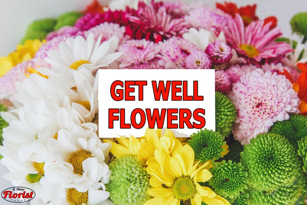 get well flowers Charlotte