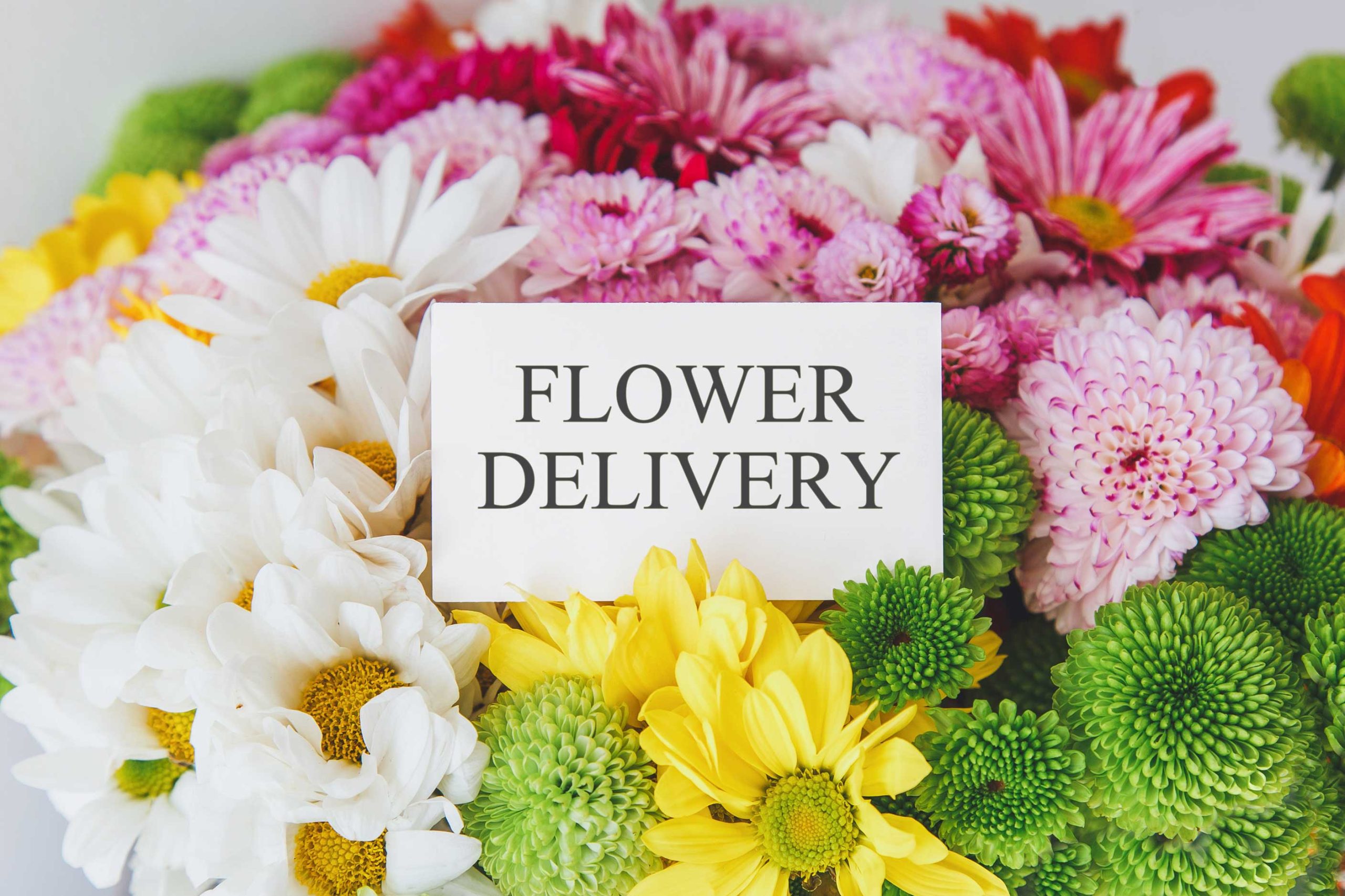 same-day-flower-delivery- Charlotte